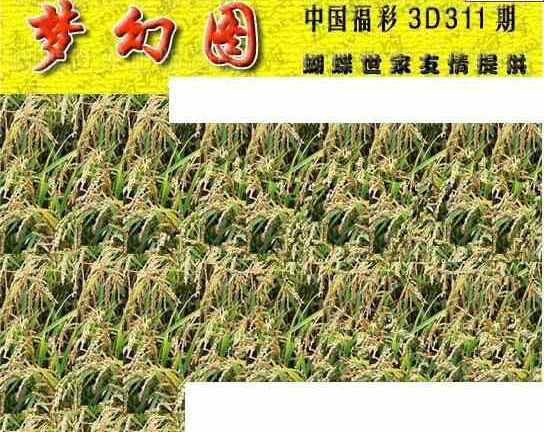 23311期: 3D蝴蝶世家蝴蝶彩图