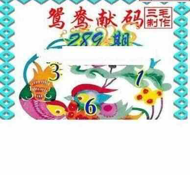 23289期: 三毛3D精品图谜