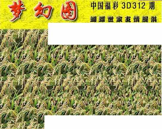 23312期: 3D蝴蝶世家蝴蝶彩图