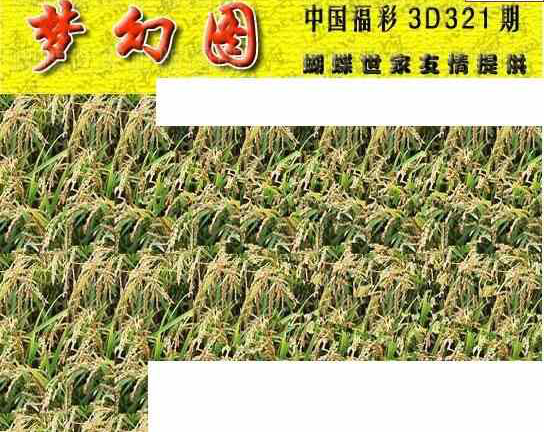 23321期: 3D蝴蝶世家蝴蝶彩图