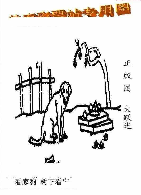 23273期: 老村长福彩3D天天图谜