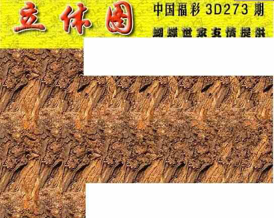 23273期: 3D蝴蝶世家蝴蝶彩图