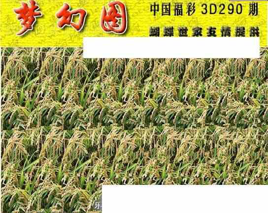 23290期: 3D蝴蝶世家蝴蝶彩图