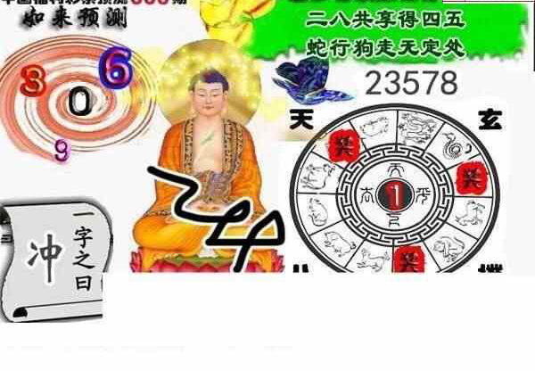 23336期: 白老3D杀码图版