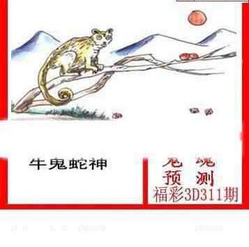 23311期: 白老3D杀码图版