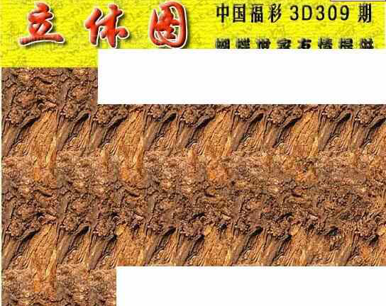 23309期: 3D蝴蝶世家蝴蝶彩图