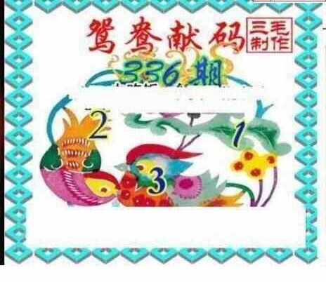 23336期: 三毛3D精品图谜