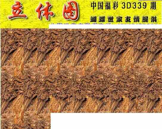 23339期: 3D蝴蝶世家蝴蝶彩图