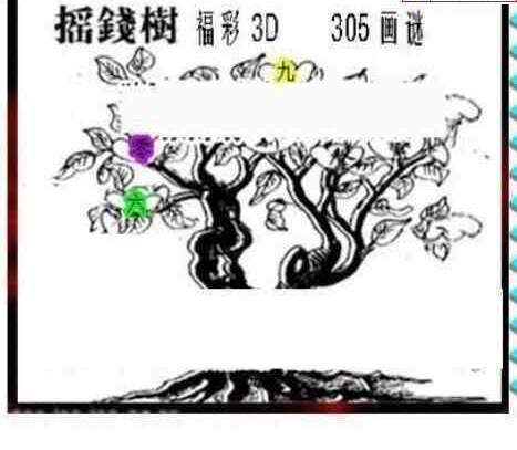23305期: 三毛3D精品图谜