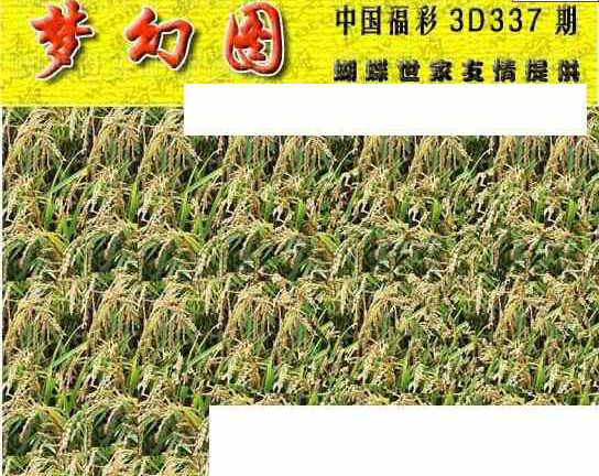 23337期: 3D蝴蝶世家蝴蝶彩图