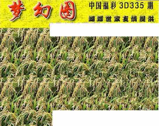 23335期: 3D蝴蝶世家蝴蝶彩图