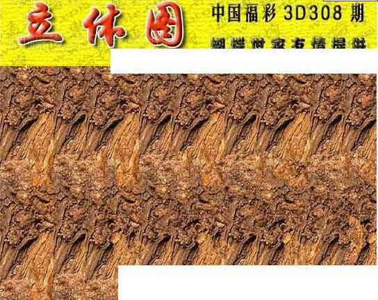 23308期: 3D蝴蝶世家蝴蝶彩图