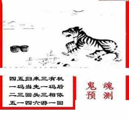 23320期: 三毛3D精品图谜