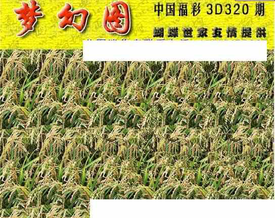 23320期: 3D蝴蝶世家蝴蝶彩图