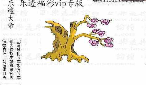 23332期: 3D蝴蝶世家蝴蝶彩图