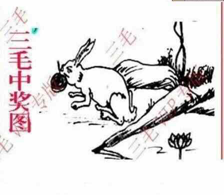 23323期: 三毛3D精品图谜