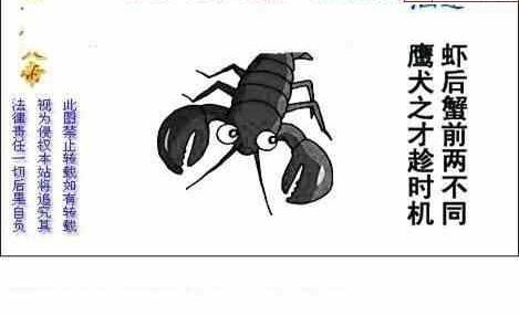 23327期: 白老3D杀码图版