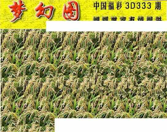 23333期: 3D蝴蝶世家蝴蝶彩图