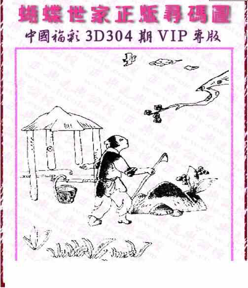 23304期: 3D蝴蝶世家蝴蝶彩图