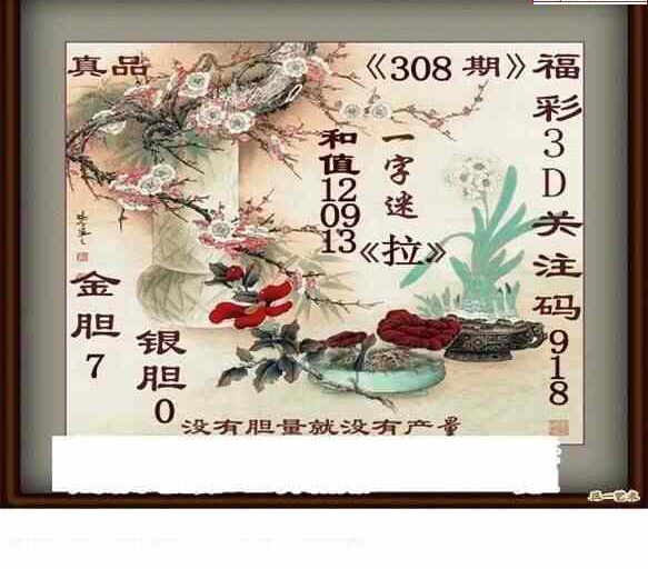 23308期: 白老3D杀码图版