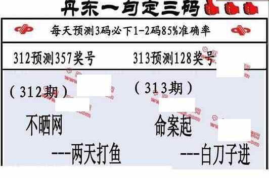 23313期: 福彩3D丹东全图分析