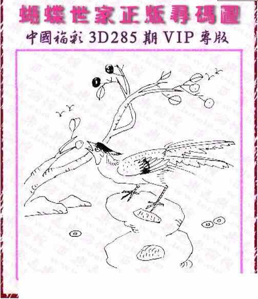 23285期: 3D蝴蝶世家蝴蝶彩图