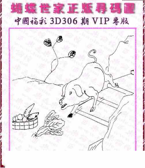 23306期: 3D蝴蝶世家蝴蝶彩图