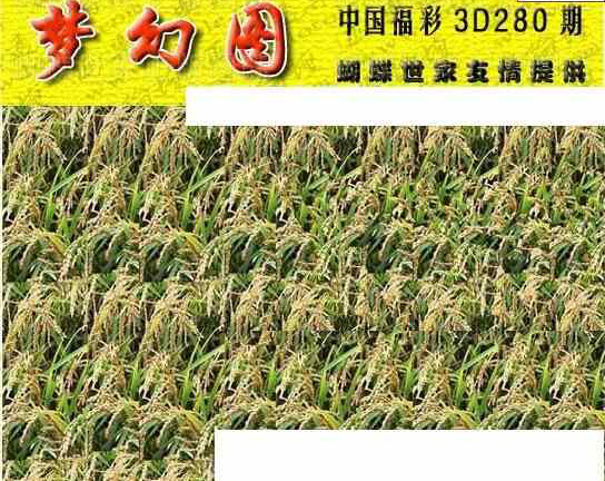 23280期: 3D蝴蝶世家蝴蝶彩图