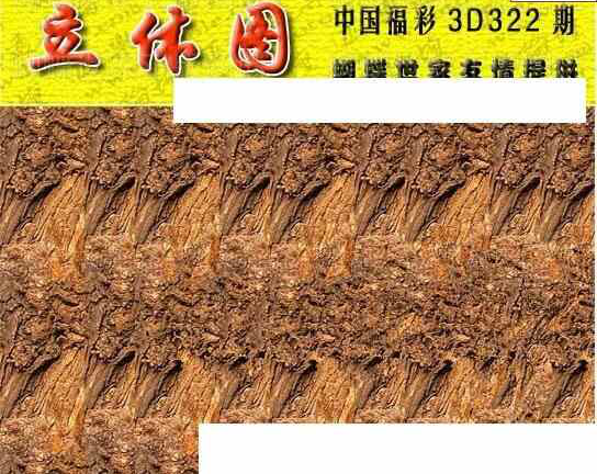 23322期: 3D蝴蝶世家蝴蝶彩图