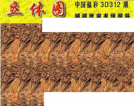 23312期: 3D蝴蝶世家蝴蝶彩图