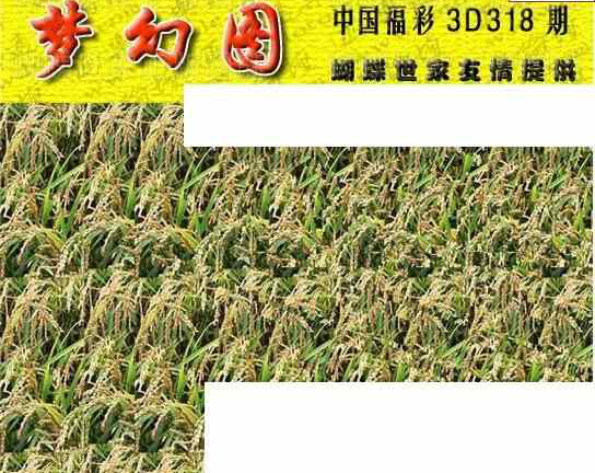 23318期: 3D蝴蝶世家蝴蝶彩图