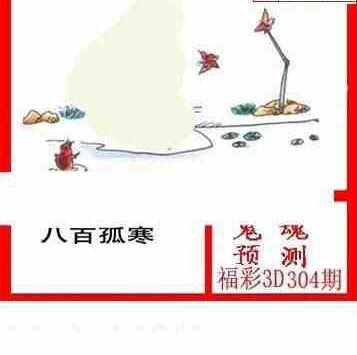 23304期: 白老3D杀码图版