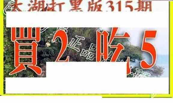 23315期: 太湖图福彩3D精品预测