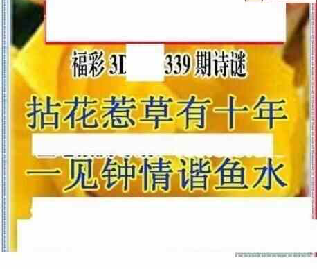 23339期: 三毛3D精品图谜