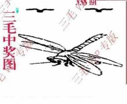 23338期: 三毛3D精品图谜