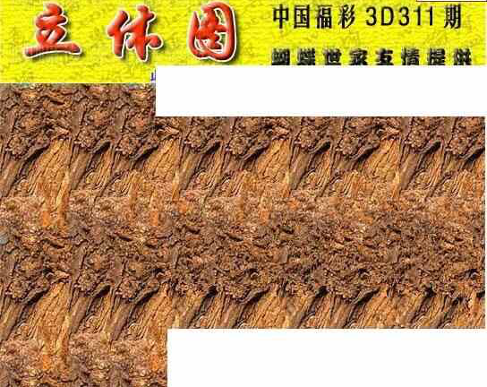 23311期: 3D蝴蝶世家蝴蝶彩图