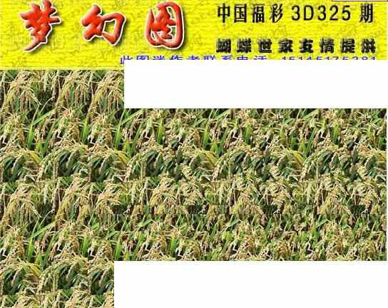 23325期: 3D蝴蝶世家蝴蝶彩图