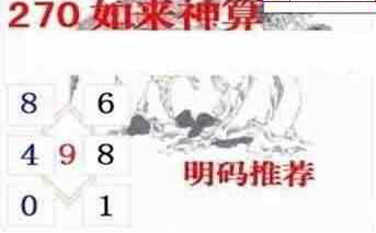 23270期: 白老3D杀码图版