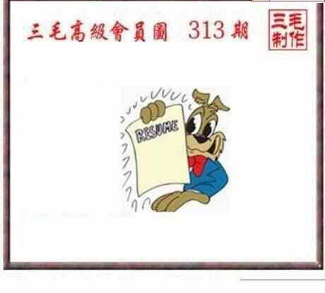 23313期: 三毛3D精品图谜