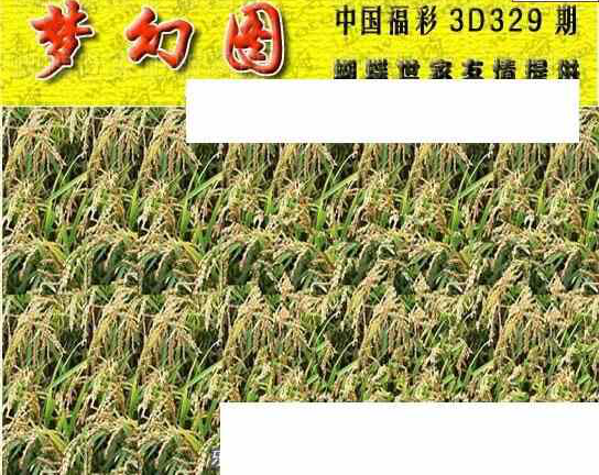 23329期: 3D蝴蝶世家蝴蝶彩图