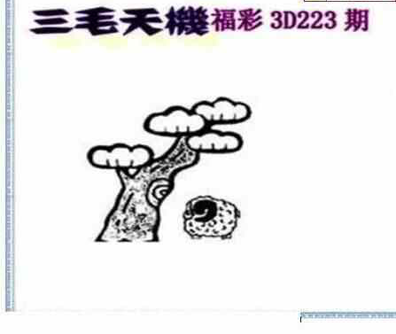 23223期: 三毛3D精品图谜