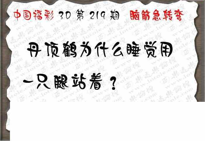 23219期: 3D蝴蝶世家蝴蝶彩图