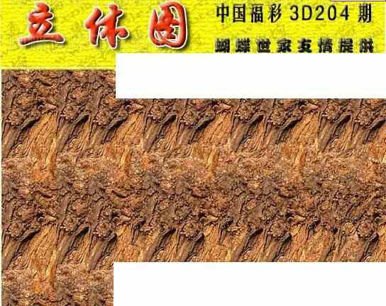 23204期: 3D蝴蝶世家蝴蝶彩图