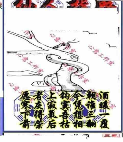 23223期: 三毛3D精品图谜