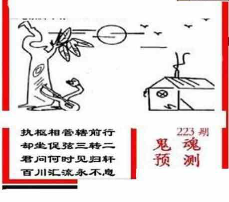 23223期: 三毛3D精品图谜