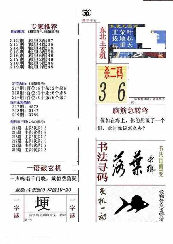 23219期: 福彩3D全套图版参考