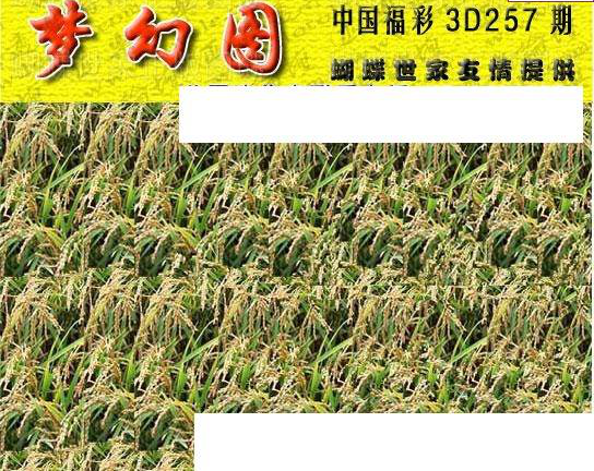 23257期: 3D蝴蝶世家蝴蝶彩图