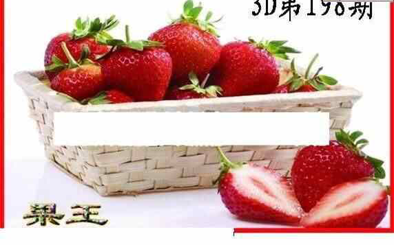 23198期: 白老3D杀码图版