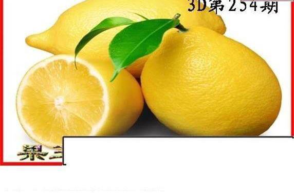 23254期: 白老3D杀码图版