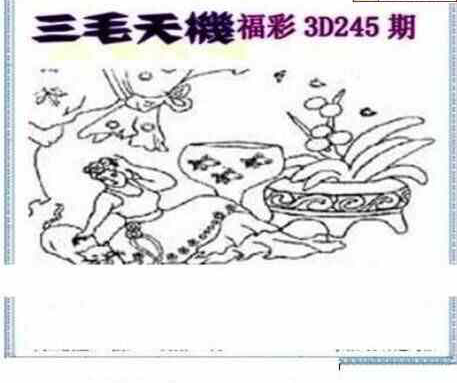 23245期: 三毛3D精品图谜